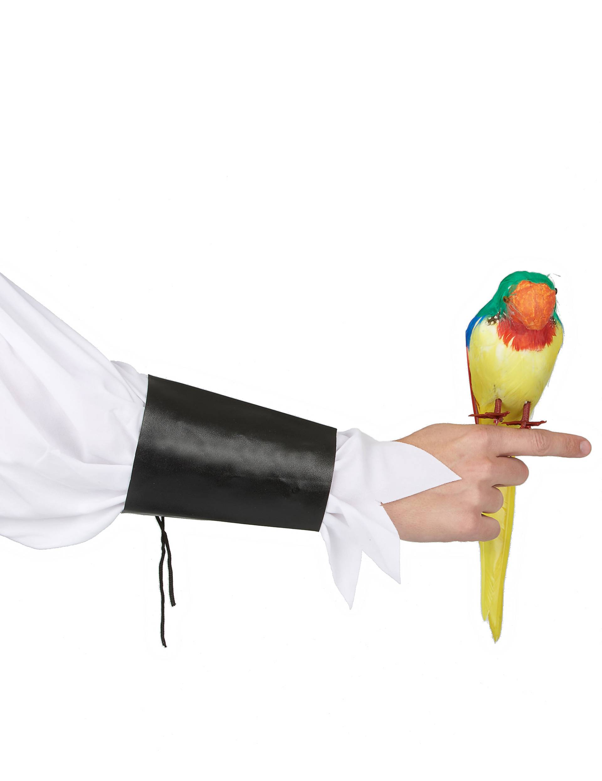 Papagei Pirat-Accessoire bunt von BOLAND BV
