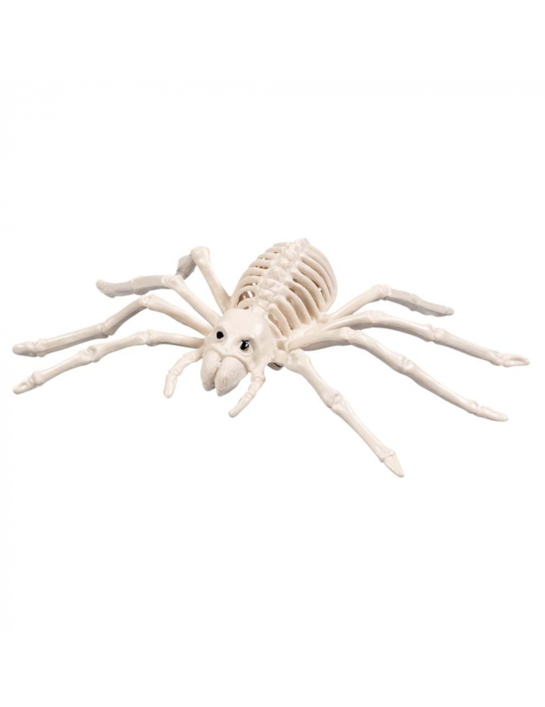 Skelett Spinne Halloweendekoration weiß 35 cm von BOLAND BV