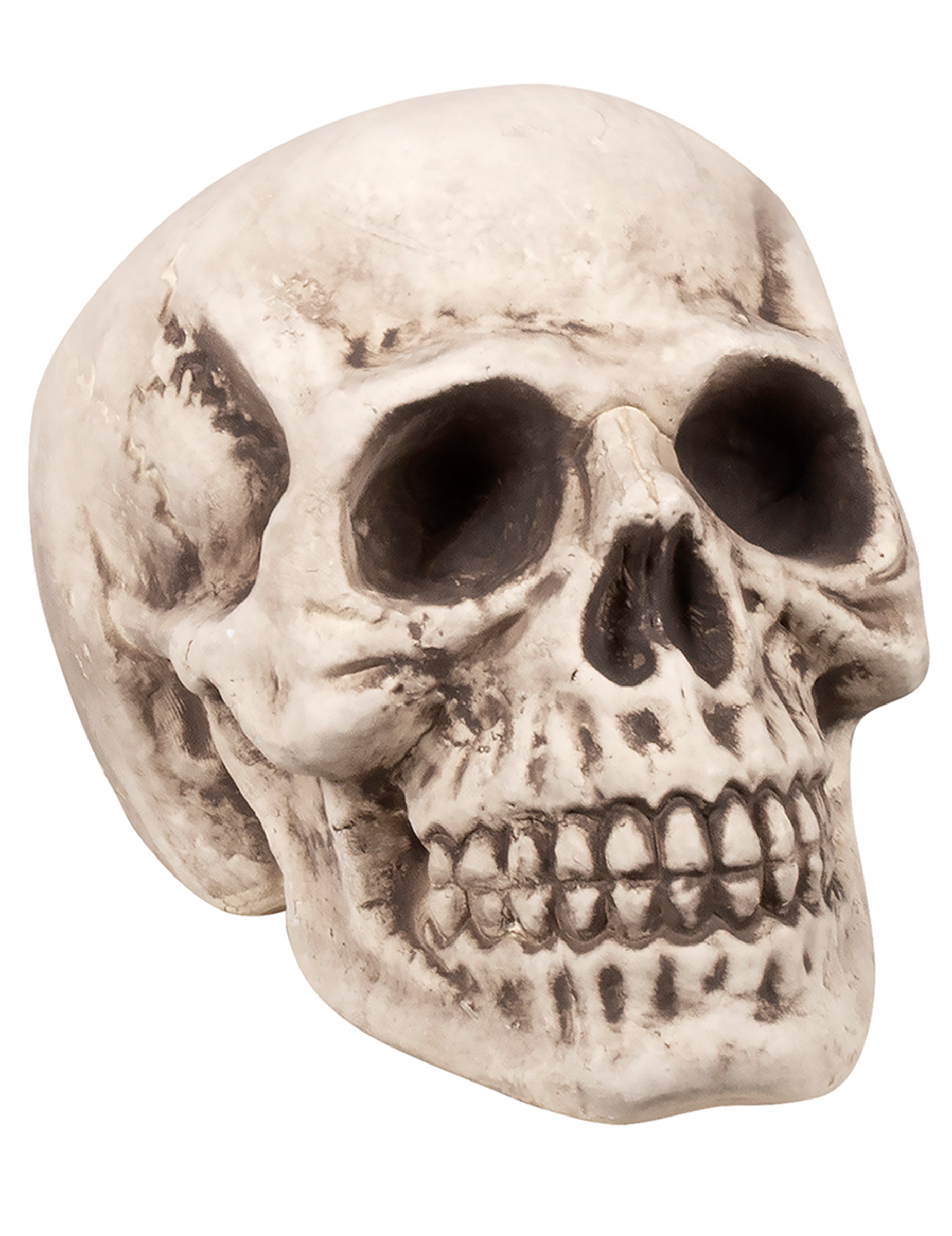 Totenkopf-Dekoration für Halloween beige-grau 23x22x31 cm Totenkopf-Dekoration für Halloween beige-grau 23x22x31 cm von BOLAND BV