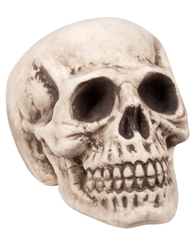 Totenkopf-Dekoration für Halloween beige-grau 23x22x31 cm von BOLAND BV