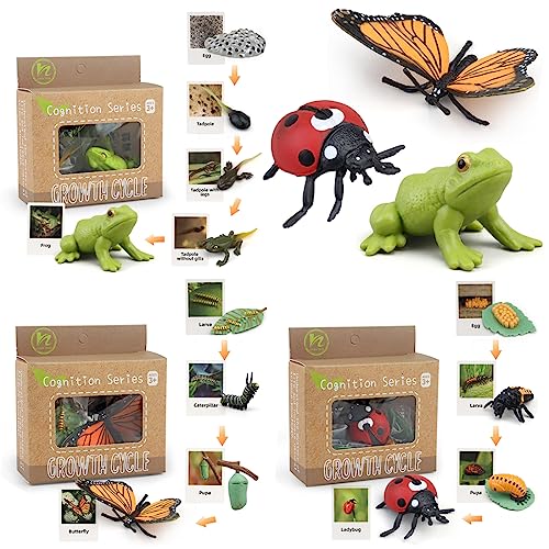 Montessori Lern- und Lernspielzeug für Lebenszyklus, Kunststoff, Insekten, Katarine, Monarchschmetterling und frittierte Kaulquappen für Kinder, Lernaktivitäten für die Montessori Lern- und Lernspielzeug für Lebenszyklus, Kunststoff, Insekten, Katarine, Monarchschmetterling und frittierte Kaulquappen für Kinder, Lernaktivitäten für die von BOTICAKO