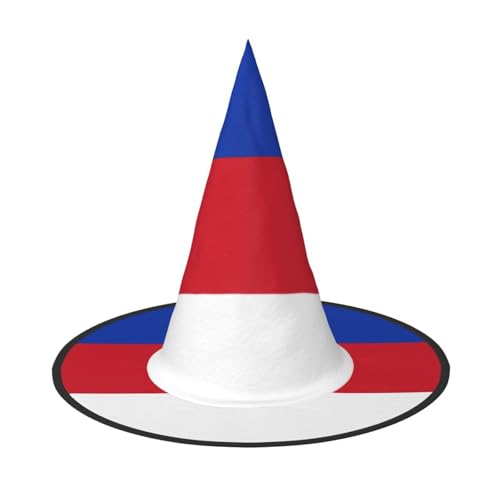 BOXILTD Flagge der Sorben Hexenhut für Frauen - Schwarz & Rosa Halloween Hüte für Party, Kostüm, Rollenspiel, Zauberer Hut von BOXILTD