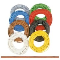 BRAWA 3123 Zwillings-Litze 0,14 mm², 5 m Ring, grün BRAWA 3123 Zwillings-Litze 0,14 mm², 5 m Ring, grün von BRAWA