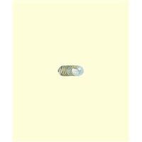 BRAWA 3339 H0 Glühlampe M 60.019, 1,8V/120mA, klar von BRAWA