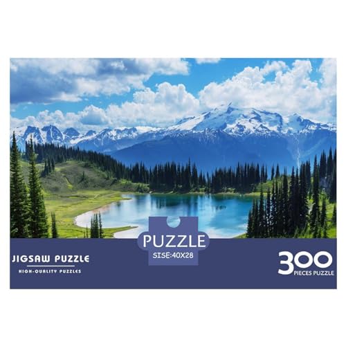 300-teiliges Puzzle für Erwachsene, Park Moraine Lake-Geschenke, kreative rechteckige Puzzles, Holzpuzzle 300 Teile (40 x 28 cm) von BREAUX