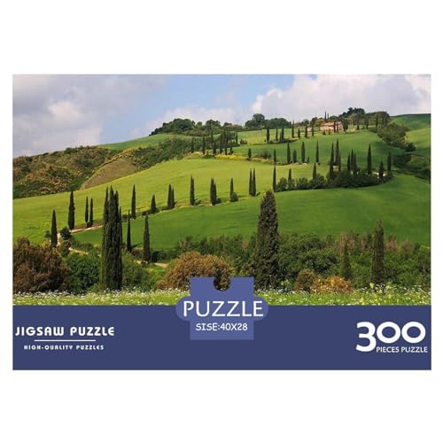 300-teiliges Puzzle für Erwachsene, grünes Grasland, Puzzle-Sets für Familien, Holzpuzzle, Gehirn-Herausforderungspuzzle, 300 Teile (40 x 28 cm) von BREAUX