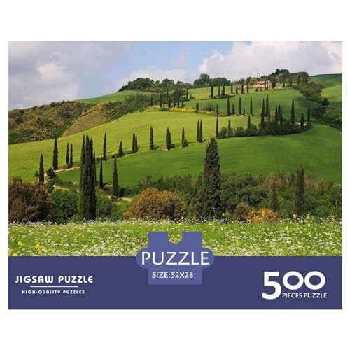 500 Teile Puzzles Grünes Grasland Holzpuzzles Anspruchsvolles Spiel Quadratische Puzzles für Erwachsene und Kinder 500 Teile (52 x 38 cm) von BREAUX
