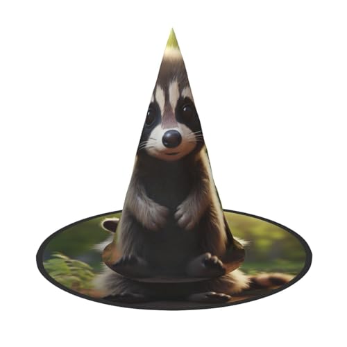 BREAUX Niedlicher Waschbär-Druck, Halloween-Hexe und Zaubererhut, Hexenkostüm für Themendekoration, Halloween-Party von BREAUX