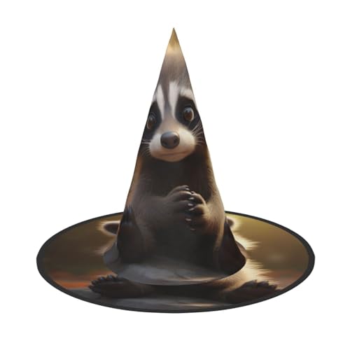 BREAUX Niedlicher Waschbär-Druck, Halloween-Hexe und Zaubererhut, Hexenkostüm für Themendekoration, Halloween-Party von BREAUX