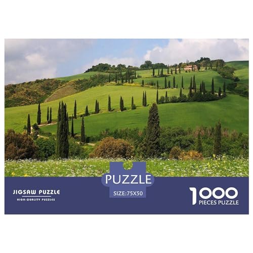 Puzzles für Erwachsene, 1000 Teile, grünes Grasland, Geschenk, Holzbrettpuzzles für Erwachsene, lustig, 1000 Teile (75 x 50 cm) von BREAUX