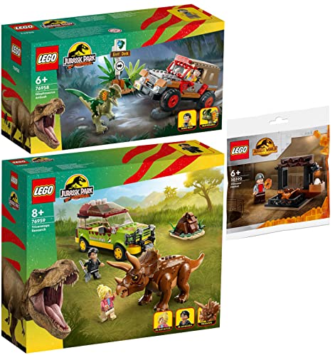 Lego 3er Set: 76958 Hinterhalt des Dilophosaurus, 76959 Triceratops-Forschung & 30390 Dinosaurier-Markt Polybag von BRICKCOMPLETE