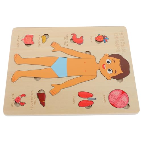 BRIGHTFUFU 1 Satz Körper Puzzle Holzspielzeug zur Erkennung der Menschlichen Pädagogisches Lernspielzeug für Kindergarten und Eltern Junge Mädchen Aktivitäten von BRIGHTFUFU