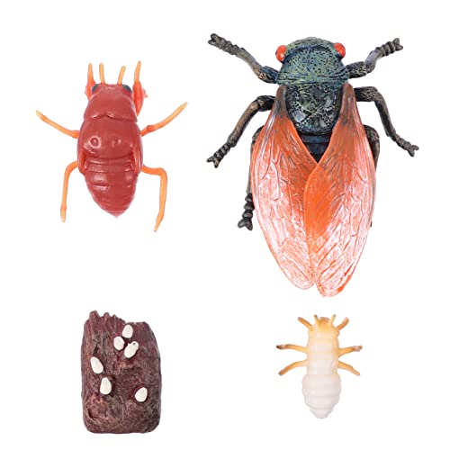 BRIGHTFUFU 1 Satz Wachstumszyklus Lebenszyklus Modelle Schwan-Spielzeugfigur Kinderspielzeug The Animal Animals gartendeko rostoptik wild Life animarus Hofdekore Lehrmittel Plastik von BRIGHTFUFU