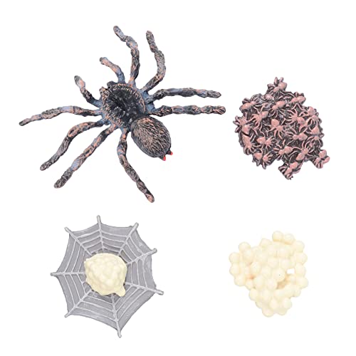 BRIGHTFUFU 1 Satz Wachstumszyklus Lebenszyklusmodell Plüsch Spielzeugspinne Lebenszyklus von Figuren wohnzimmerdeko wohnungsdeko Educational Toys mockin Hofdekore Lehrmittel Plastik BRIGHTFUFU 1 Satz Wachstumszyklus Lebenszyklusmodell Plüsch Spielzeugspinne Lebenszyklus von Figuren wohnzimmerdeko wohnungsdeko Educational Toys mockin Hofdekore Lehrmittel Plastik von BRIGHTFUFU
