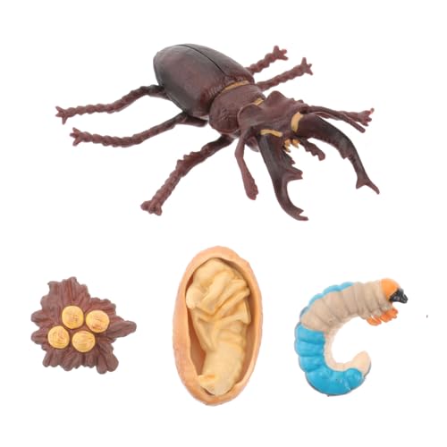 BRIGHTFUFU 1 Set Wachstumszyklus Modell Tierschaumodelle Wachstumsmodell Evolutionsmodell Simulationsmodell Spielzeugmodell Simulationsornamente Lehrmaterial Modelle Aus Kunststoff BRIGHTFUFU 1 Set Wachstumszyklus Modell Tierschaumodelle Wachstumsmodell Evolutionsmodell Simulationsmodell Spielzeugmodell Simulationsornamente Lehrmaterial Modelle Aus Kunststoff von BRIGHTFUFU
