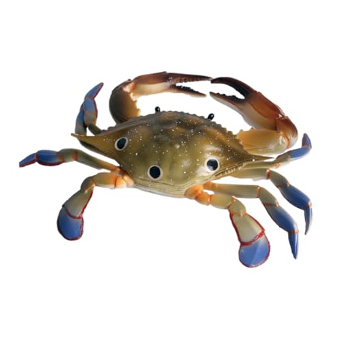 BRIGHTFUFU 1 Stück Marine Ornament Meerestierschmuck Krabbenschmuck Meerestiermodell BRIGHTFUFU 1 Stück Marine Ornament Meerestierschmuck Krabbenschmuck Meerestiermodell von BRIGHTFUFU