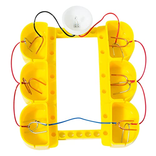 BRIGHTFUFU 1Satz Fruchtbatterie Experimentierkasten für Wissenschafts Kit für Grundschüler Stem Lernspielzeug Kreativität und Praktischen Fähigkeiten Einfach zu Bedienen von BRIGHTFUFU