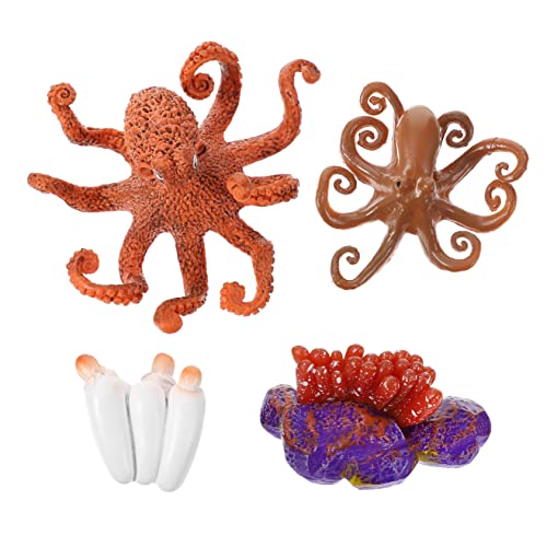 BRIGHTFUFU Detailliertes Oktopus-Modell Lernspielzeug Oktopus-lebenszyklus-Display Simulationsmodell Babyspielzeug Dekoratives Ornament BRIGHTFUFU Detailliertes Oktopus-Modell Lernspielzeug Oktopus-lebenszyklus-Display Simulationsmodell Babyspielzeug Dekoratives Ornament von BRIGHTFUFU