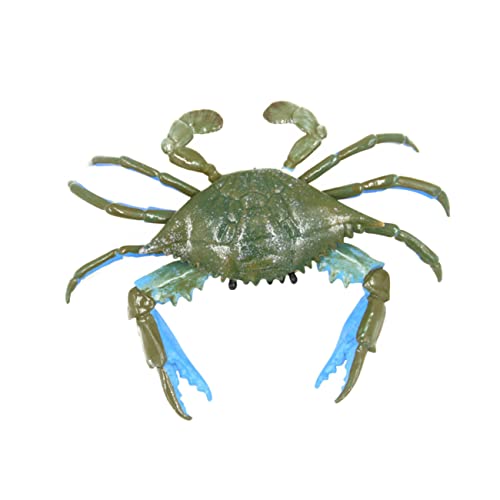 BRIGHTFUFU 1pc -Simulation Marine Tiere Model Kinderpädagogik Für Das Lernen Für Kindermodell von BRIGHTFUFU
