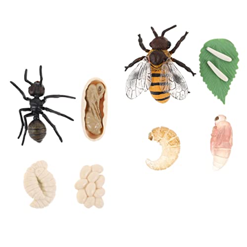 BRIGHTFUFU 2sätze Tier Lebenszyklus Modelle Für Junge Mädchen Kognitive Spielzeuge Zur Schulbildung Honigbiene Und Schwarze Ameise Realistische Figuren Vorstellungskraft BRIGHTFUFU 2sätze Tier Lebenszyklus Modelle Für Junge Mädchen Kognitive Spielzeuge Zur Schulbildung Honigbiene Und Schwarze Ameise Realistische Figuren Vorstellungskraft von BRIGHTFUFU