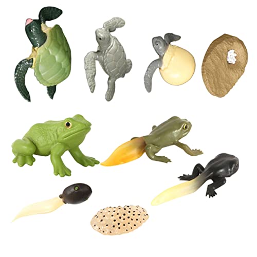 BRIGHTFUFU 2Sätze Simulation Frosch Und Schildkröte Wachstumsornamente Für Realistische Tiermodelle Kreativität Und Lernen BRIGHTFUFU 2Sätze Simulation Frosch Und Schildkröte Wachstumsornamente Für Realistische Tiermodelle Kreativität Und Lernen von BRIGHTFUFU