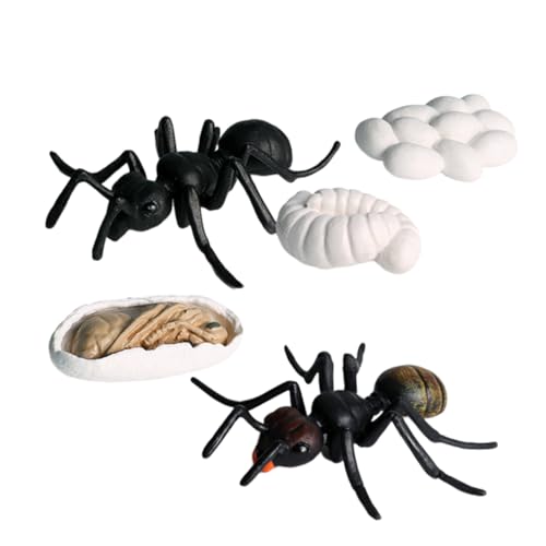 BRIGHTFUFU 5Stücke Teiliges Set Künstliche Ameisen Modell Pädagogisches Simulationsspielzeug Für Kindergarten Und Zuhause Plastik Ameisen Figuren Für Lernzwecke BRIGHTFUFU 5Stücke Teiliges Set Künstliche Ameisen Modell Pädagogisches Simulationsspielzeug Für Kindergarten Und Zuhause Plastik Ameisen Figuren Für Lernzwecke von BRIGHTFUFU