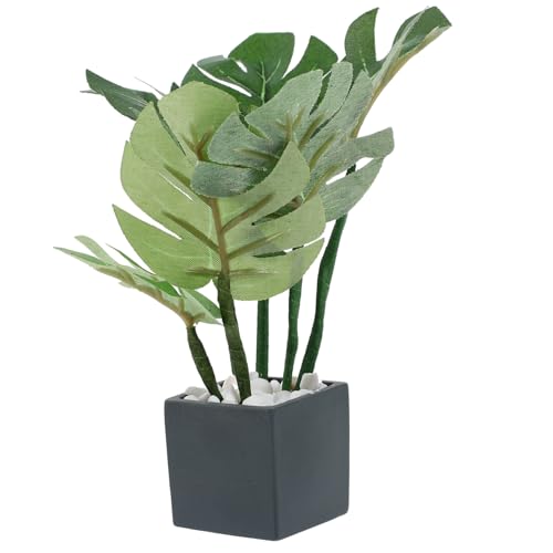BRIGHTFUFU Bonsai Pflanze im Topf Dekorative Topfpflanzen für Puppenhaus und Mini aus Lebendige Farben und Realistisches Design für Kreative BRIGHTFUFU Bonsai Pflanze im Topf Dekorative Topfpflanzen für Puppenhaus und Mini aus Lebendige Farben und Realistisches Design für Kreative von BRIGHTFUFU
