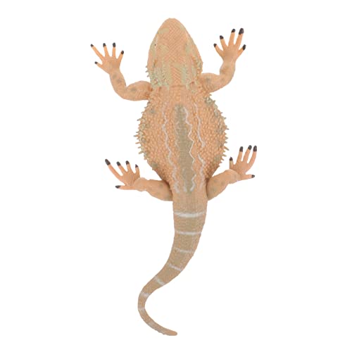 BRIGHTFUFU Echsenmodell für Realistische Bartdrache Figur aus Kunststoff Lernspielzeug Tierkenntnisse und Gartendekoration für Partys und Kreative BRIGHTFUFU Echsenmodell für Realistische Bartdrache Figur aus Kunststoff Lernspielzeug Tierkenntnisse und Gartendekoration für Partys und Kreative von BRIGHTFUFU