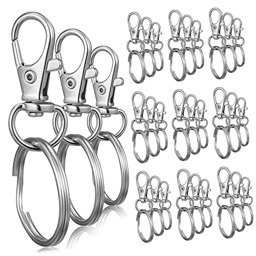 BRIGHTFUFU Schlüsselringe mit Karabinerverschluss 30-teiliges Set und Einfach Zu Verwenden für Die Schlüsselorganisation BRIGHTFUFU Schlüsselringe mit Karabinerverschluss 30-teiliges Set und Einfach Zu Verwenden für Die Schlüsselorganisation von BRIGHTFUFU