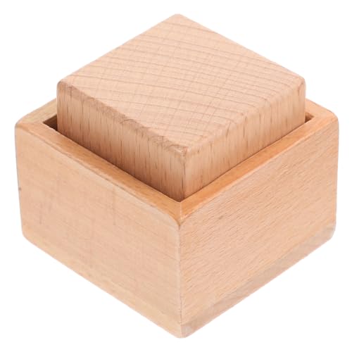 BRIGHTFUFU Logisches Holzspielzeug für Sensorisches Hand Augen Koordinationsspielzeug Fördert Motorische Fähigkeiten und Farberkennung für Junge Mädchen und Kleinkinder Unbedenklich von BRIGHTFUFU