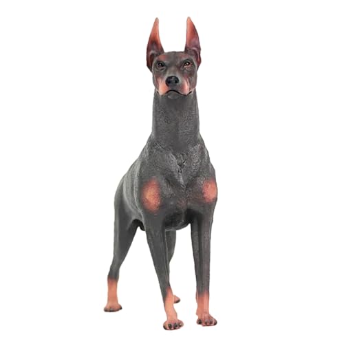 BRIGHTFUFU Realistische Dobermann Hundestatue Plastisches Tiermodell Für Lernspielzeug Zur Kognitiven Entwicklung Braune Hundefigur Dekoration Für Zuhause Für Kleinkinder BRIGHTFUFU Realistische Dobermann Hundestatue Plastisches Tiermodell Für Lernspielzeug Zur Kognitiven Entwicklung Braune Hundefigur Dekoration Für Zuhause Für Kleinkinder von BRIGHTFUFU
