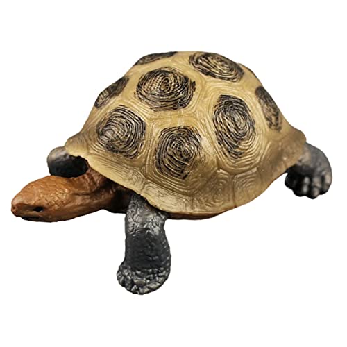 BRIGHTFUFU Turtle Realistische Landturtle Figur Aus Detailliertes Modell Einer Schildkröte Für Dekoration Und Künstliche Schildkröten Statue Für Sammler Und Tierliebhaber Schildkröte Spielzeug BRIGHTFUFU Turtle Realistische Landturtle Figur Aus Detailliertes Modell Einer Schildkröte Für Dekoration Und Künstliche Schildkröten Statue Für Sammler Und Tierliebhaber Schildkröte Spielzeug von BRIGHTFUFU