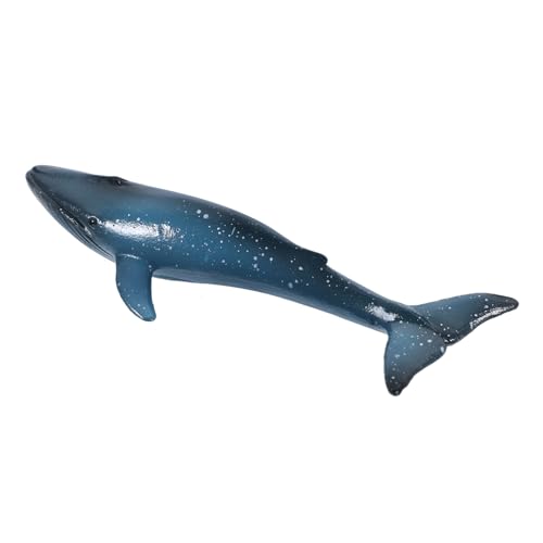 BRIGHTFUFU Realistisches Blauwal Modell aus Naturgetreue Meeres Simulation Dekorativ für Kinderzimmer Aquarium und Lernspielzeug Edukatives Walmodell für Kleinkinder Ab Jahren BRIGHTFUFU Realistisches Blauwal Modell aus Naturgetreue Meeres Simulation Dekorativ für Kinderzimmer Aquarium und Lernspielzeug Edukatives Walmodell für Kleinkinder Ab Jahren von BRIGHTFUFU