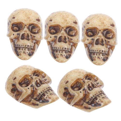 BRIGHTFUFU Halloween Ornament Set 5 Stück Realistische Harz Totenköpfe Dekorationen Für Zuhause von BRIGHTFUFU