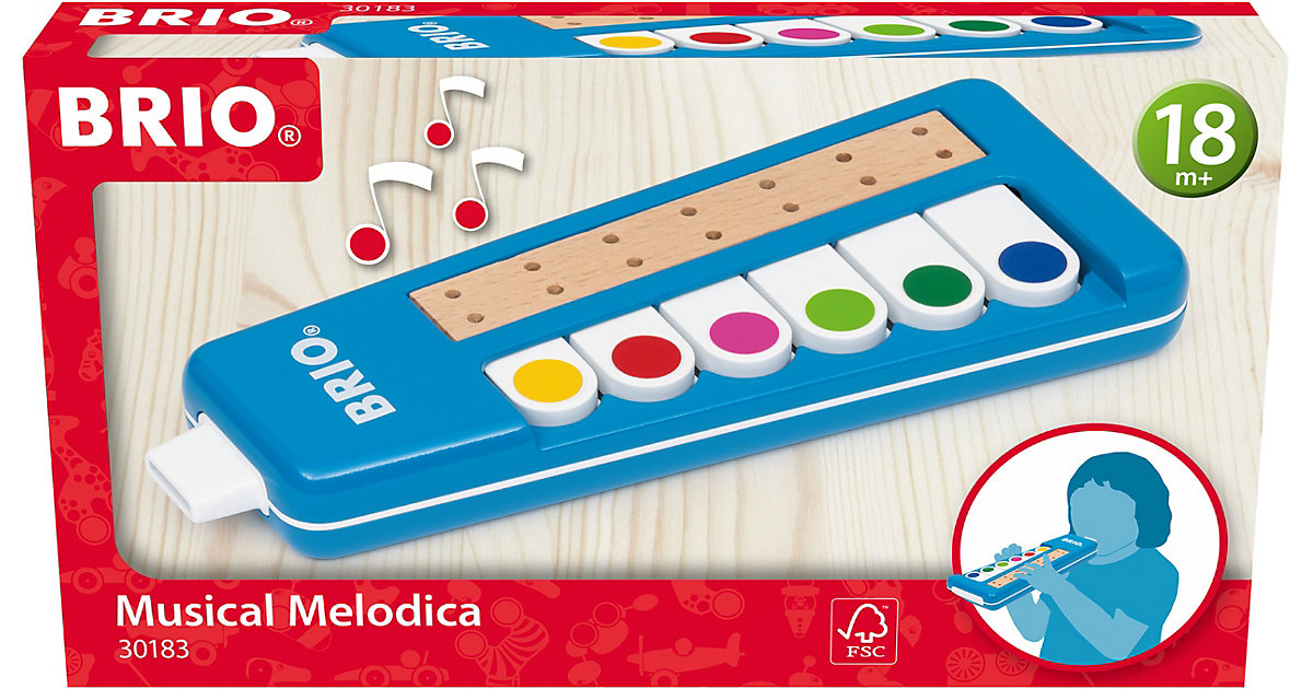 30183 BRIO Kinder Melodica  - Spielzeuginstrument Kleinkinder ab 18 Monate  Kinder von BRIO