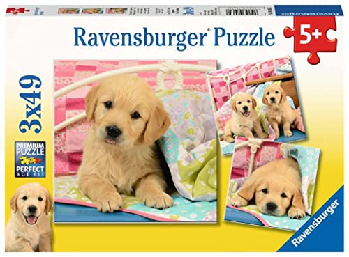 Ravensburger Kinderpuzzle - 08065 Kuschelige Hündchen - Puzzle für Kinder ab 5 Jahren, mit 3x49 Teilen von BRIO