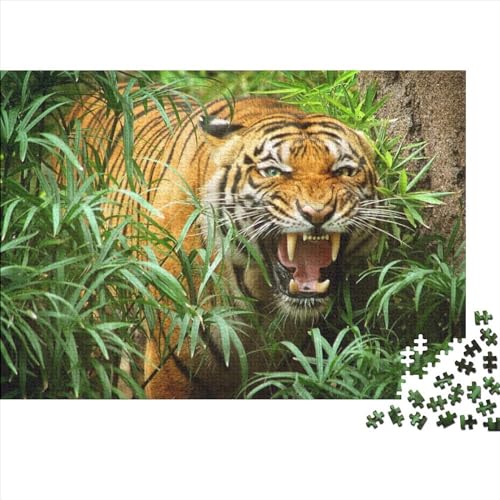 Tiger, 300 Teile, Puzzle für Erwachsene, Puzzle für Erwachsene, Geschenke, 300 Teile, 300 Teile (40 x 28 cm) von BROJAQ