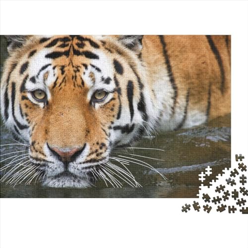 Tiger 1000-teiliges Puzzle für Erwachsene, Familienspaß-Puzzles, Geschenke für Erwachsene, 1000 Teile (75 x 50 cm) von BROJAQ