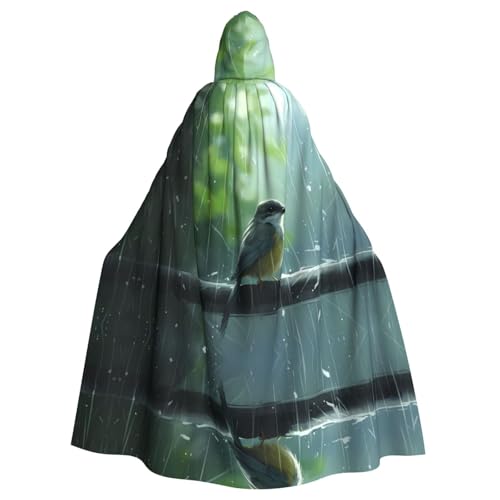 BROLEO Regenumhang mit Vogelmotiv, Halloween, Erwachsenen-Kapuzenumhang für Kostümpartys und Themenveranstaltungen BROLEO Regenumhang mit Vogelmotiv, Halloween, Erwachsenen-Kapuzenumhang für Kostümpartys und Themenveranstaltungen von BROLEO
