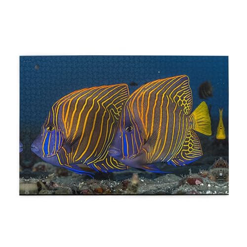 Puzzles1000 Teile BROLEO Tropische Fische drucken pädagogische intellektuelle Holzpuzzles, lustige Puzzles, Stressabbau-Puzzles Puzzles1000 Teile BROLEO Tropische Fische drucken pädagogische intellektuelle Holzpuzzles, lustige Puzzles, Stressabbau-Puzzles von BROLEO