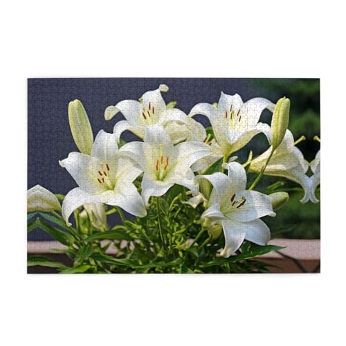 Puzzles1000 Teile BROLEO Weiße Lilien Druck Pädagogische Intellektuelle Holzpuzzles Lustige Puzzles Stressabbau Puzzles Puzzles1000 Teile BROLEO Weiße Lilien Druck Pädagogische Intellektuelle Holzpuzzles Lustige Puzzles Stressabbau Puzzles von BROLEO