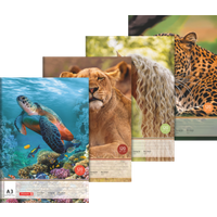 BRUNNEN 104734509 Zeichenblock, A3, 20 Blatt, sortiert von BRUNNEN