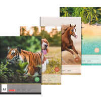 BRUNNEN 104790309 Zeichenblock, A3, 10 Blatt, sortiert von BRUNNEN