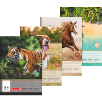 BRUNNEN 104790409 Zeichenblock, A4, 10 Blatt, sortiert von BRUNNEN