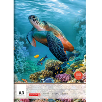 BRUNNEN 104791309 Zeichenblock A3, 100 g/m², weiß, perforiert, 20 Blatt von BRUNNEN