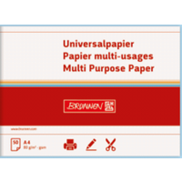 BRUNNEN 105125032 Universalpapier A4 80g hellblau 50 Blatt von BRUNNEN