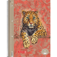 BRUNNEN 1067927221 Collegeblock Premium „Leopard“ Safari World, A4, Lineatur 27, 80 Blatt, orange/braun BRUNNEN 1067927221 Collegeblock Premium „Leopard“ Safari World, A4, Lineatur 27, 80 Blatt, orange/braun von BRUNNEN