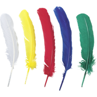 BRUNNEN 204885408 Indianerfedern, verschiedene Farben, 25-30cm, 20 Stück BRUNNEN 204885408 Indianerfedern, verschiedene Farben, 25-30cm, 20 Stück von BRUNNEN