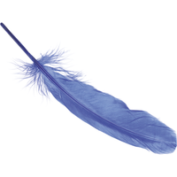 BRUNNEN 216620353 Gänsefedern ca. 16 - 21 cm blau 8 Stück von BRUNNEN