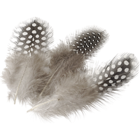 BRUNNEN 216623980 Perlhuhnfedern ca. 5 cm natur dunkel 20 Stück BRUNNEN 216623980 Perlhuhnfedern ca. 5 cm natur dunkel 20 Stück von BRUNNEN